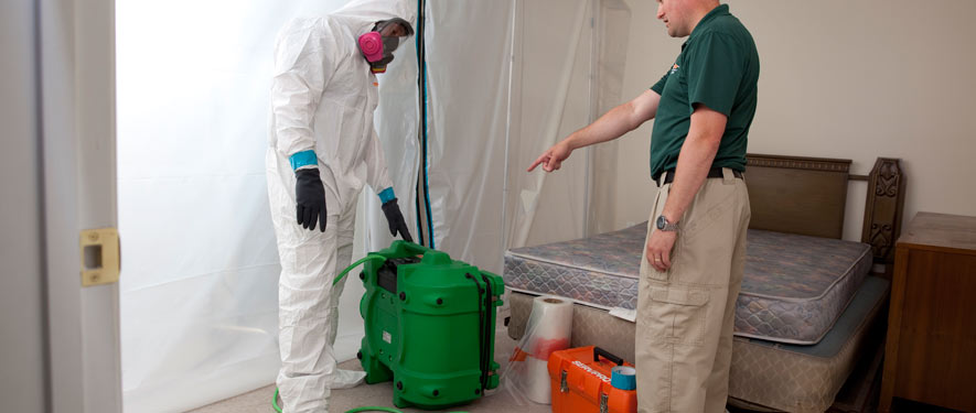 Thousand Oaks, CA mold removal process